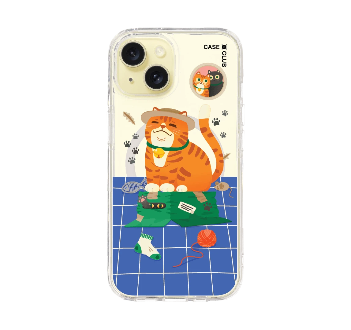 orange cat on the box